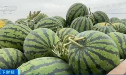 热点吃瓜,吃瓜群众如何解读明星事件